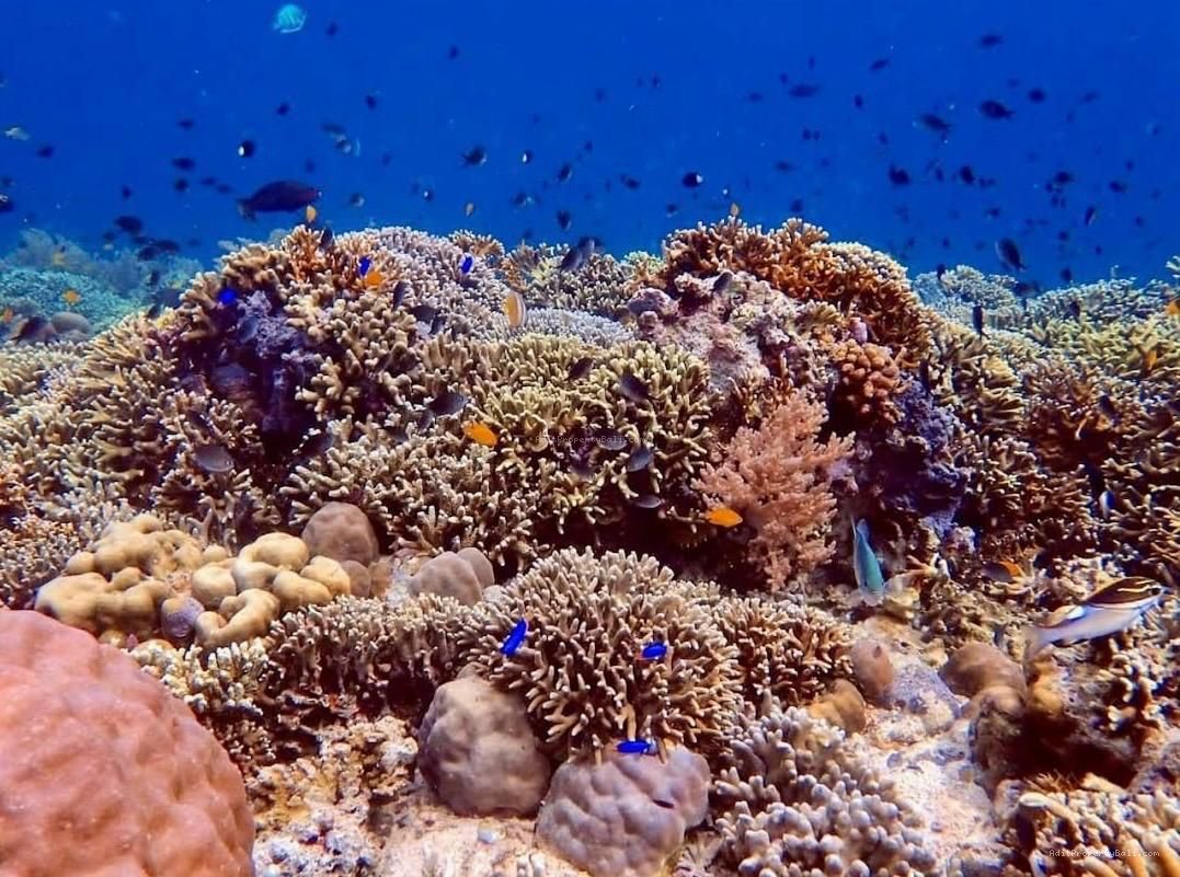 Tanah Premium Beach Front Pantai Pemuteran Buleleng Singaraja