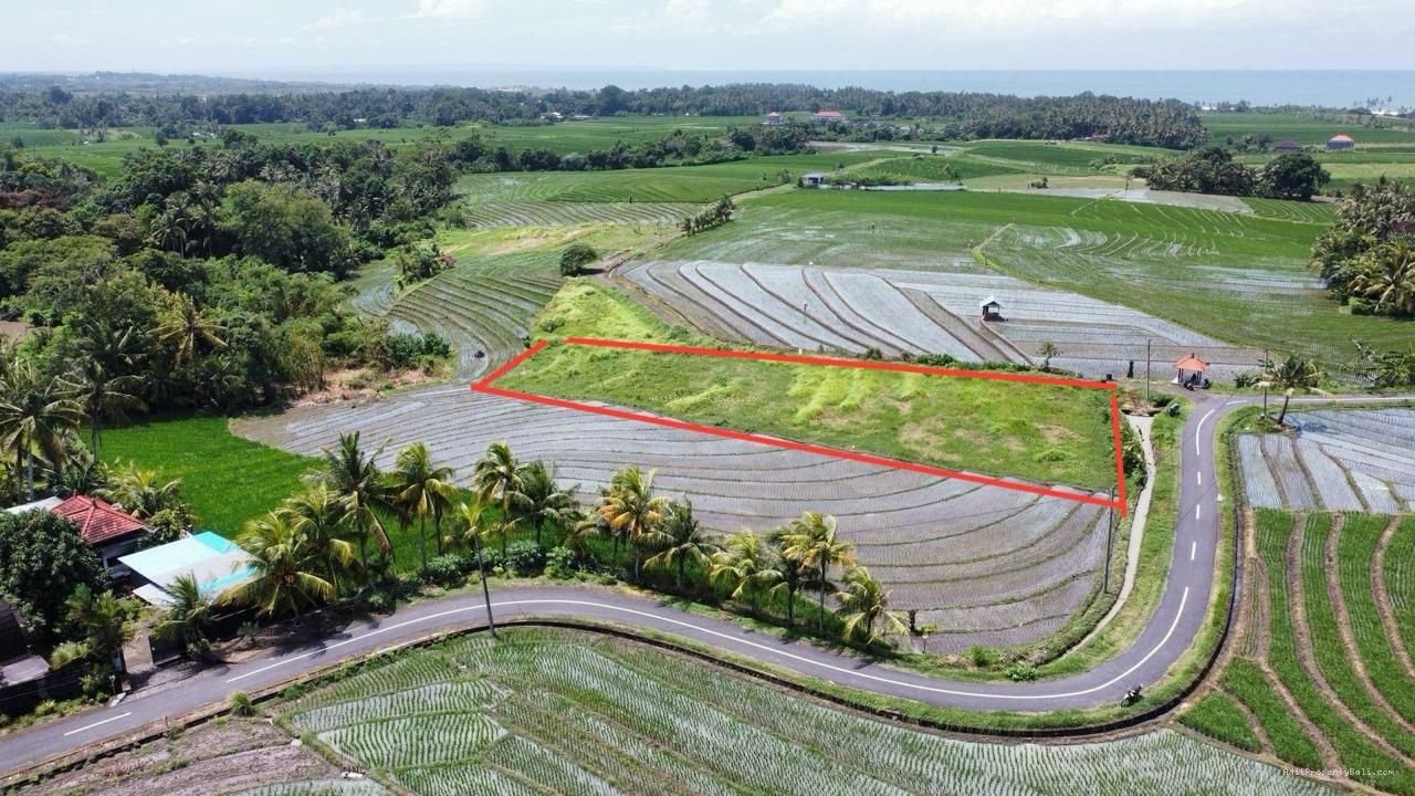 Tanah Murah Beraban Tabanan Bali