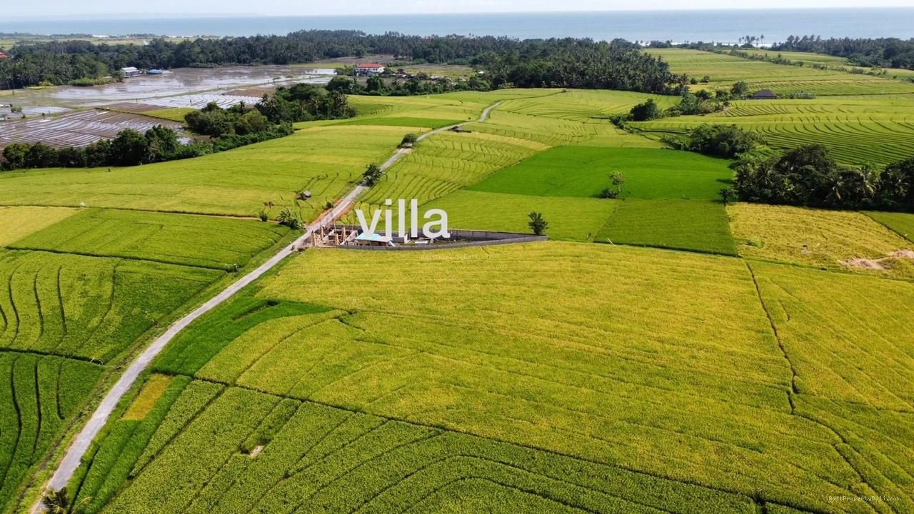 Tanah Murah Beraban Tabanan Bali