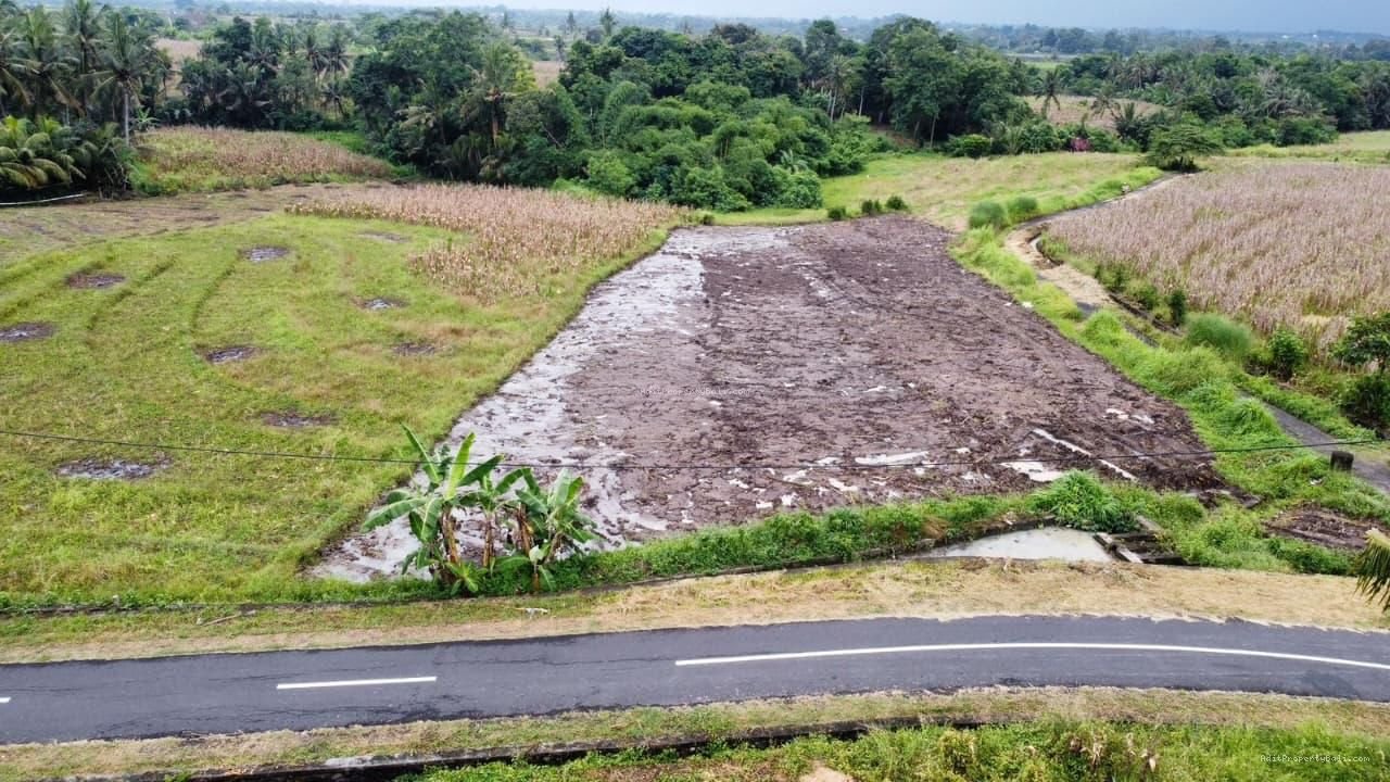 Tanah Murah Beraban Tabanan Bali