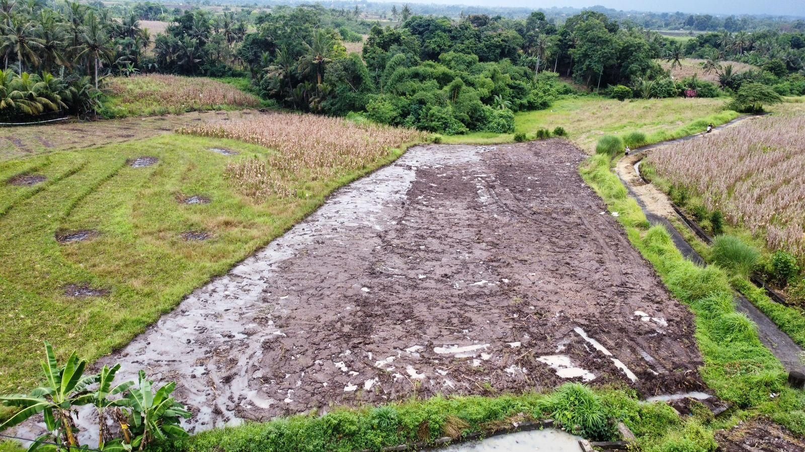 Tanah Murah Beraban Tabanan Bali