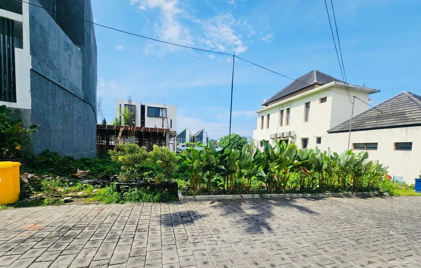 Tanah langka berawa canggu