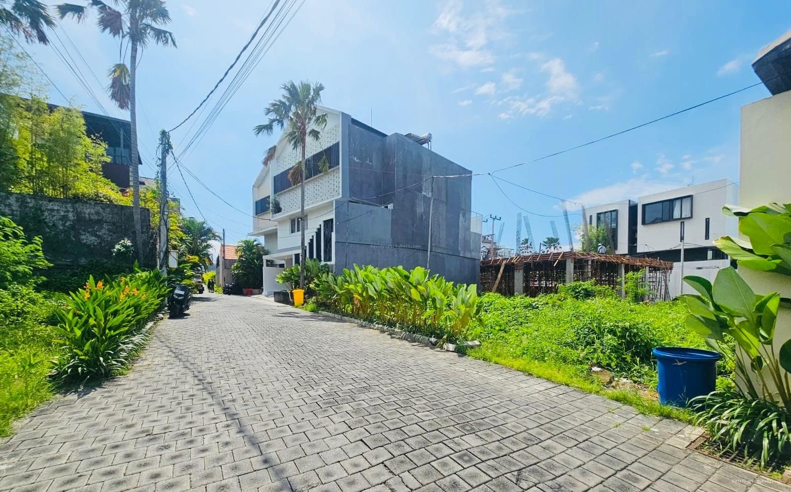 Tanah langka berawa canggu