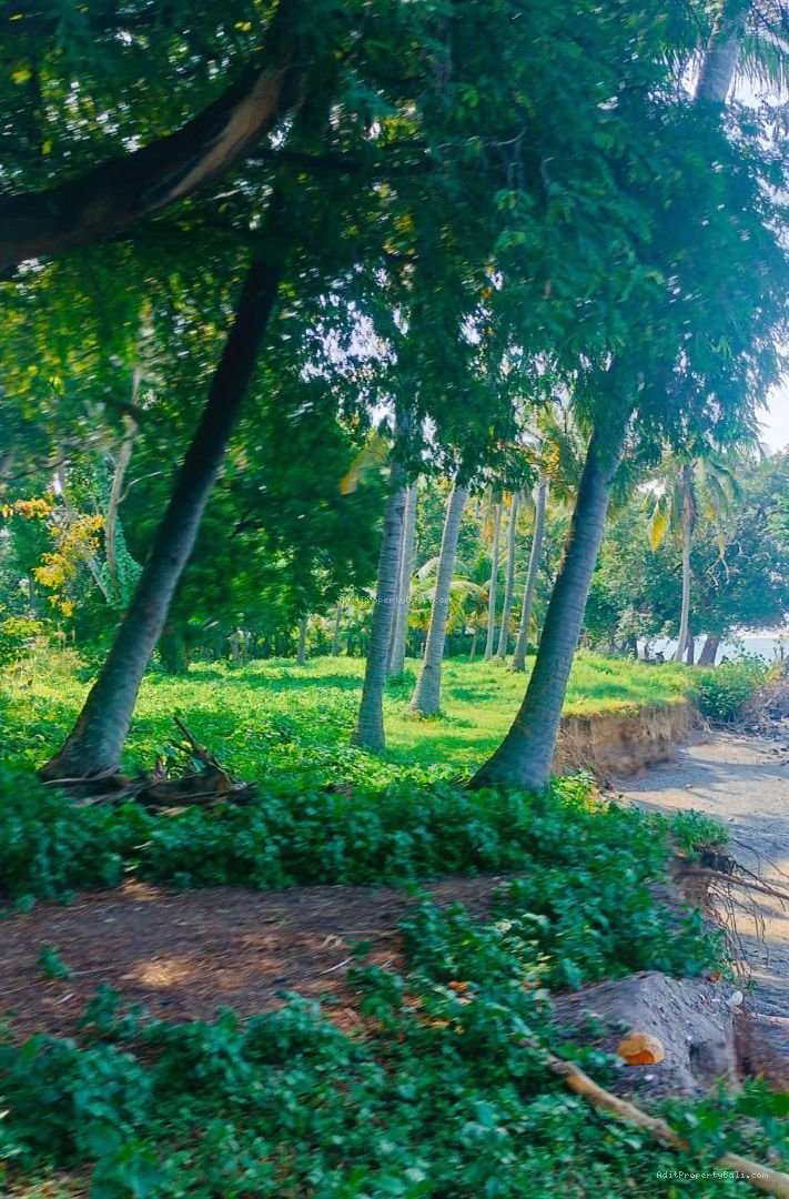 Tanah Murah Beach Front Kubutambahan Buleleng Singaraja Bali