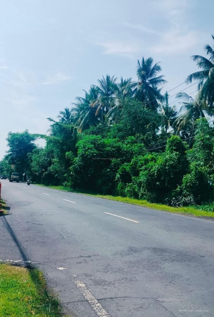 Tanah Murah Beach Front Kubutambahan Buleleng Singaraja Bali