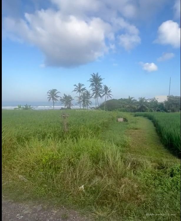 Tanah Los Pantai Pasut Tabanan Bali