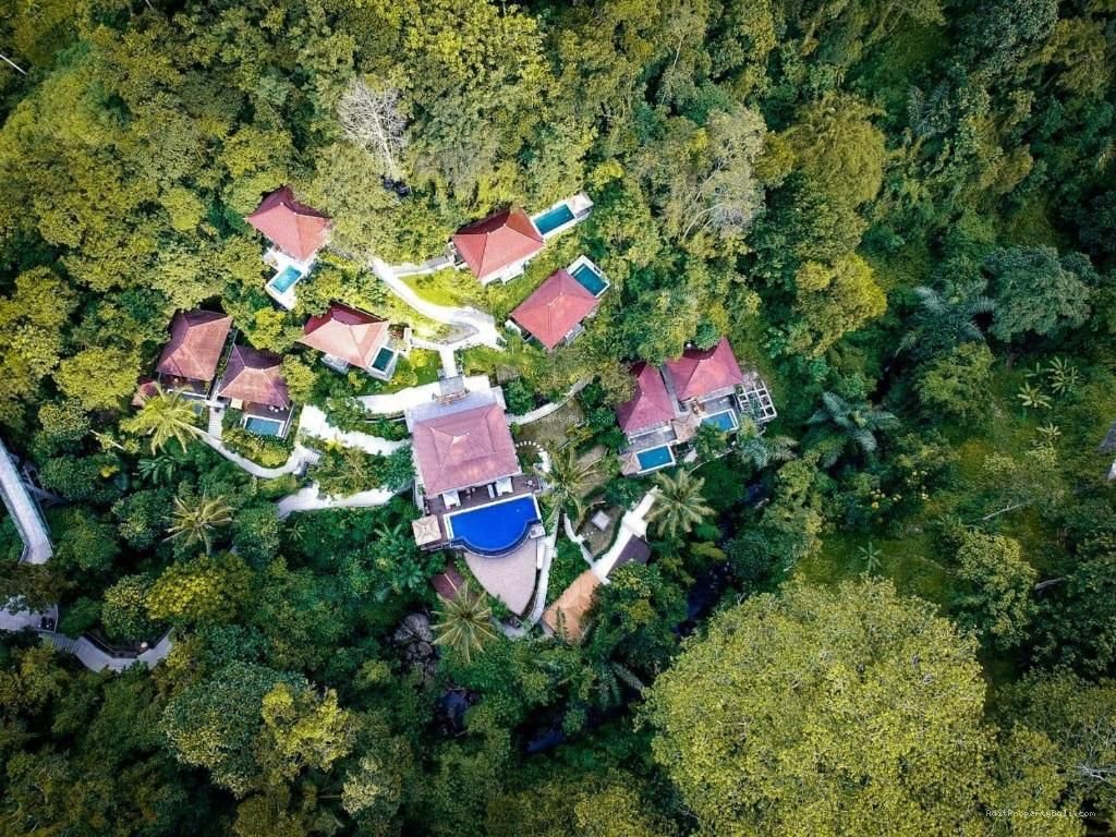 Resort Murah tegallalang Ubud Gianyar