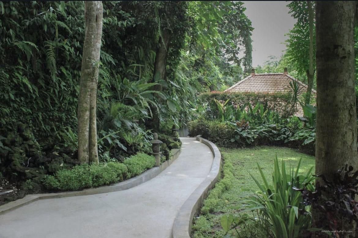 Resort Murah tegallalang Ubud Gianyar