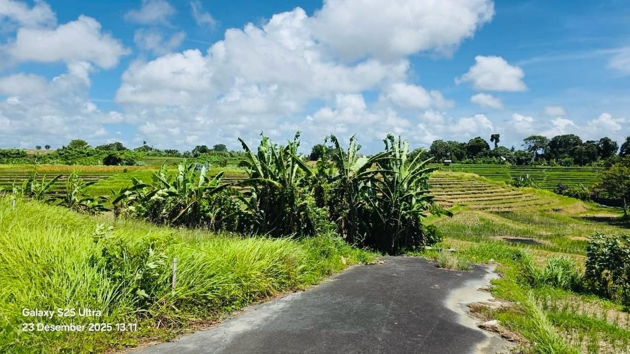 Tanah View Sawah Abadi Tumbak Bayuh Mengwi Badung