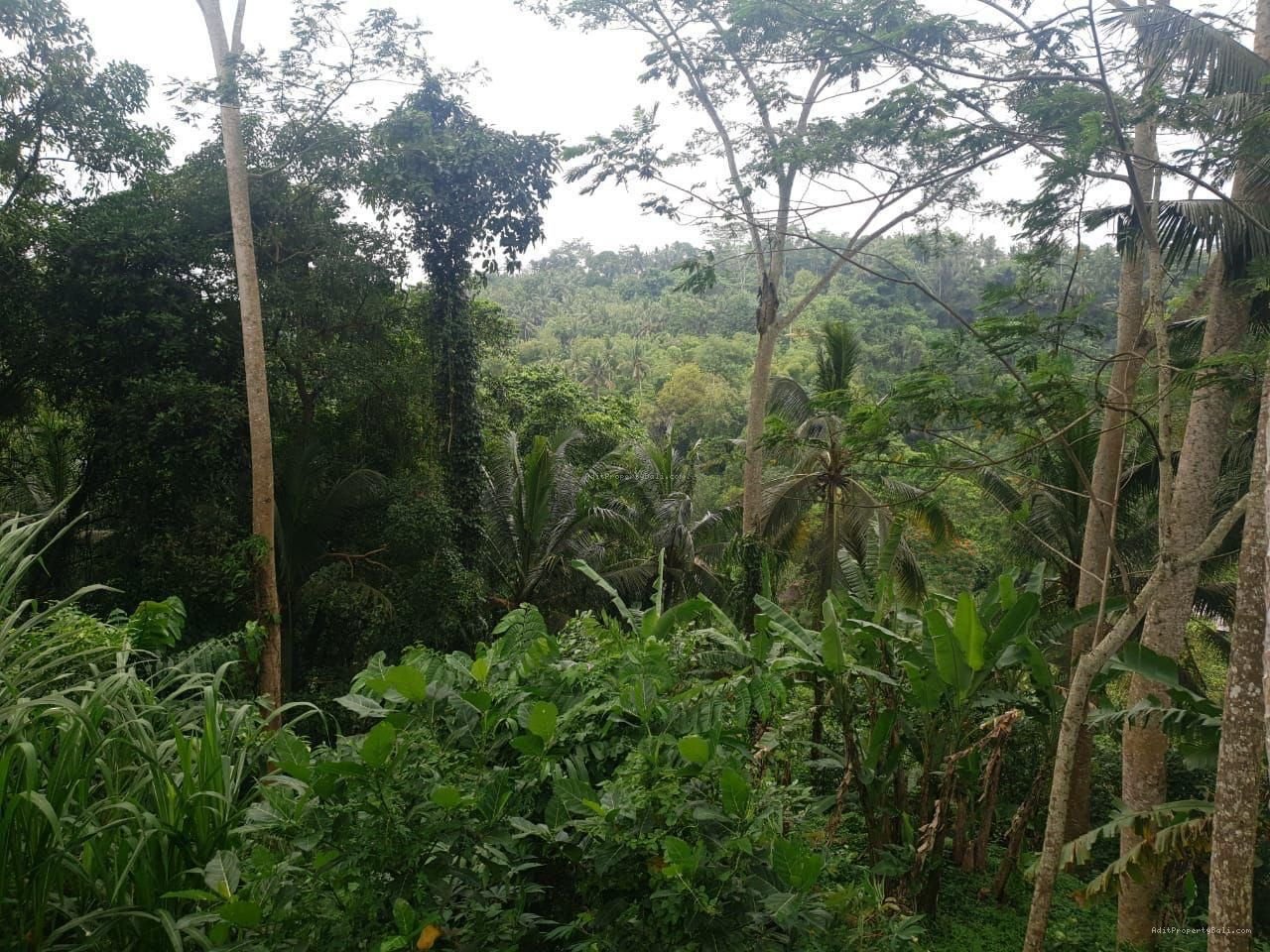 Tanah Los Sungai Kedewatan Ubud Gianyar