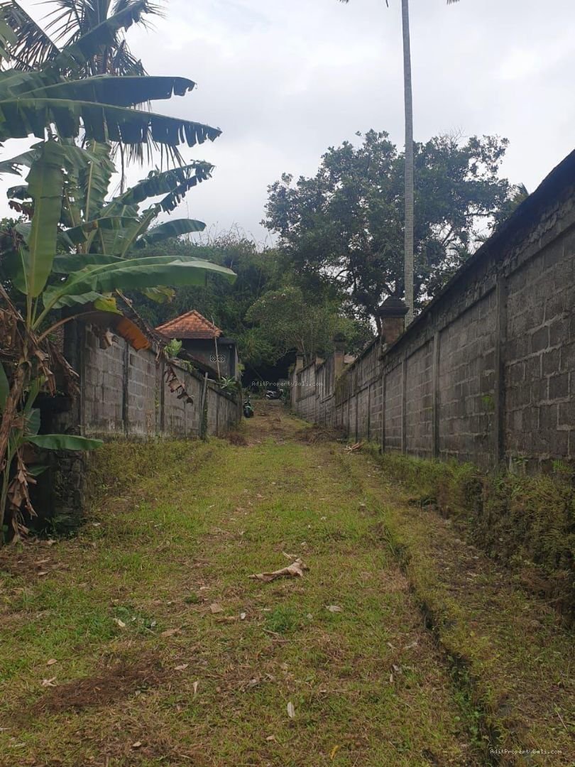 Tanah Los Sungai Kedewatan Ubud Gianyar