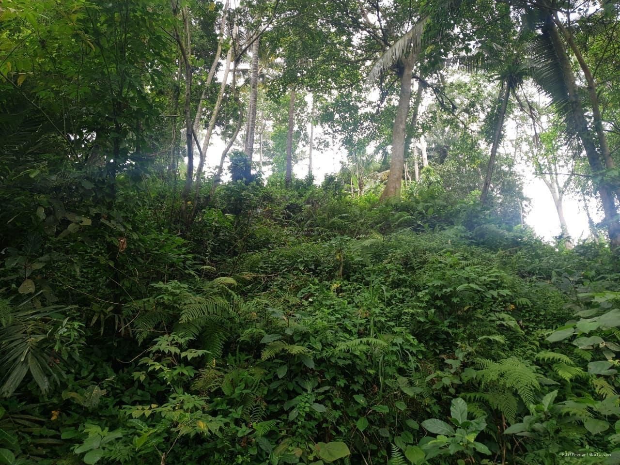 Tanah Los Sungai Kedewatan Ubud Gianyar