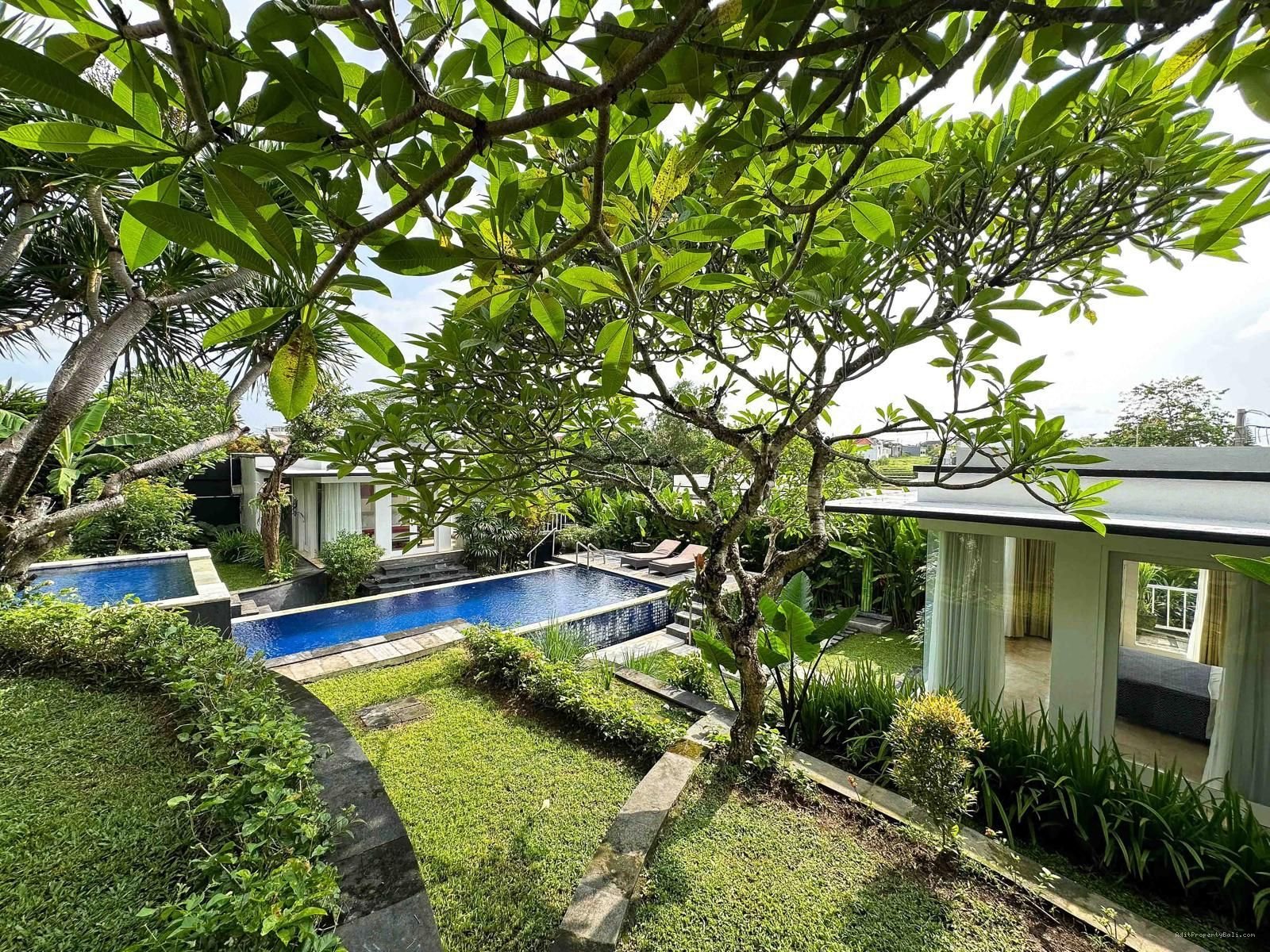 Villa Murah kayu tulang utara canggu