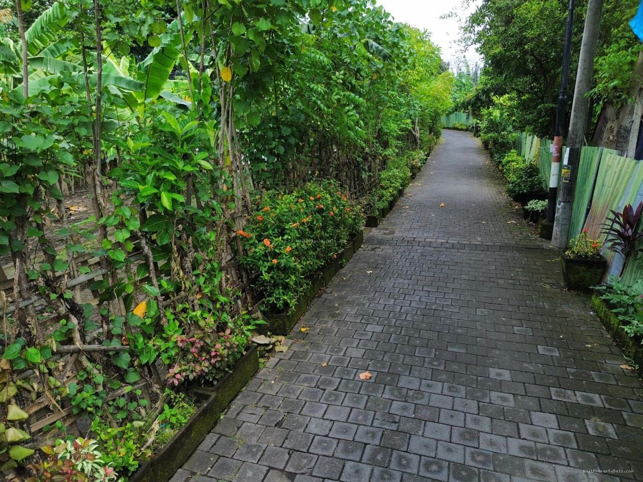 Tanah raya puputan renon