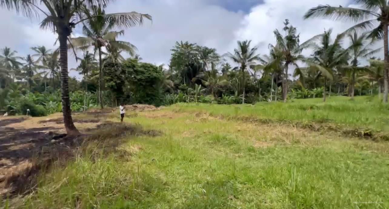 Tanah jungle payangan ubud bali