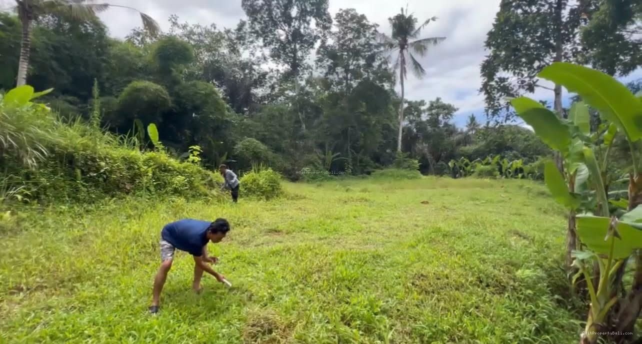 Tanah jungle payangan ubud bali