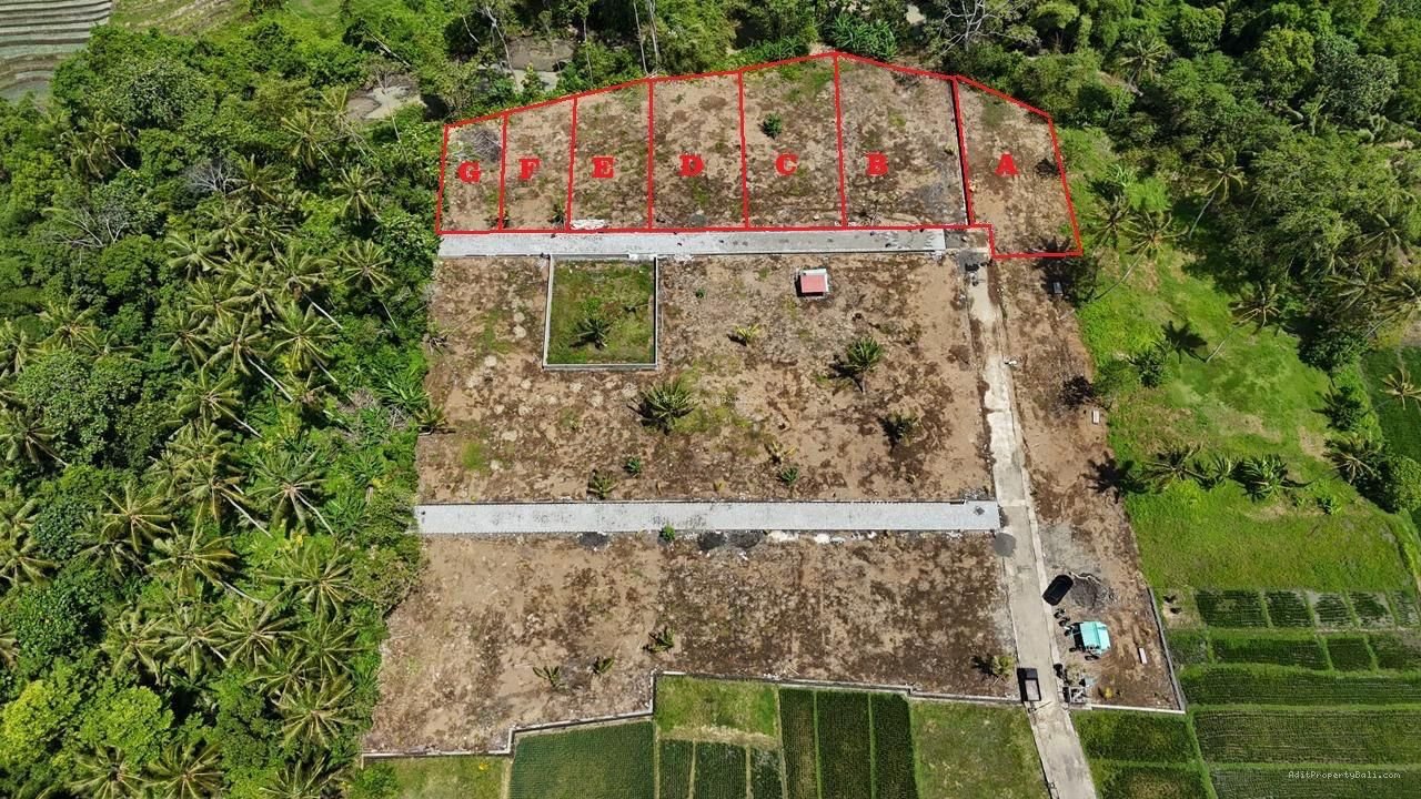 Tanah gebang gading beraban tabanan bali