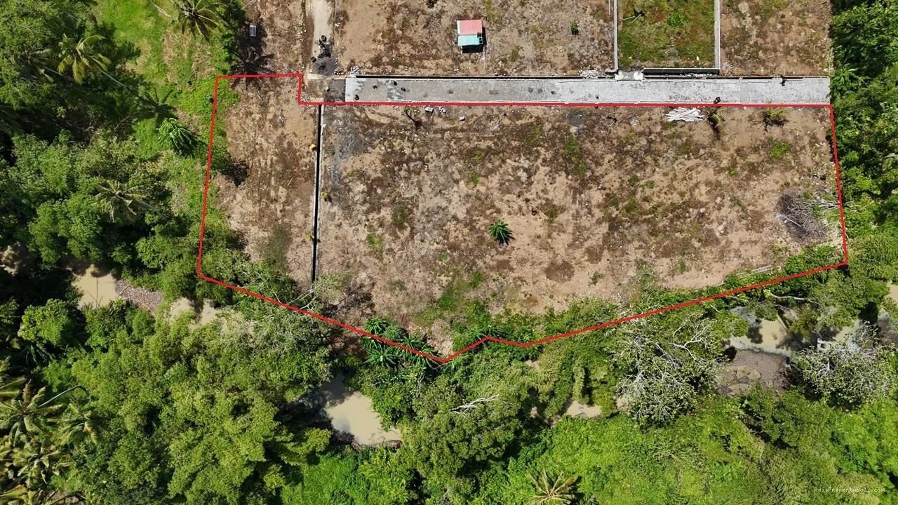 Tanah gebang gading beraban tabanan bali