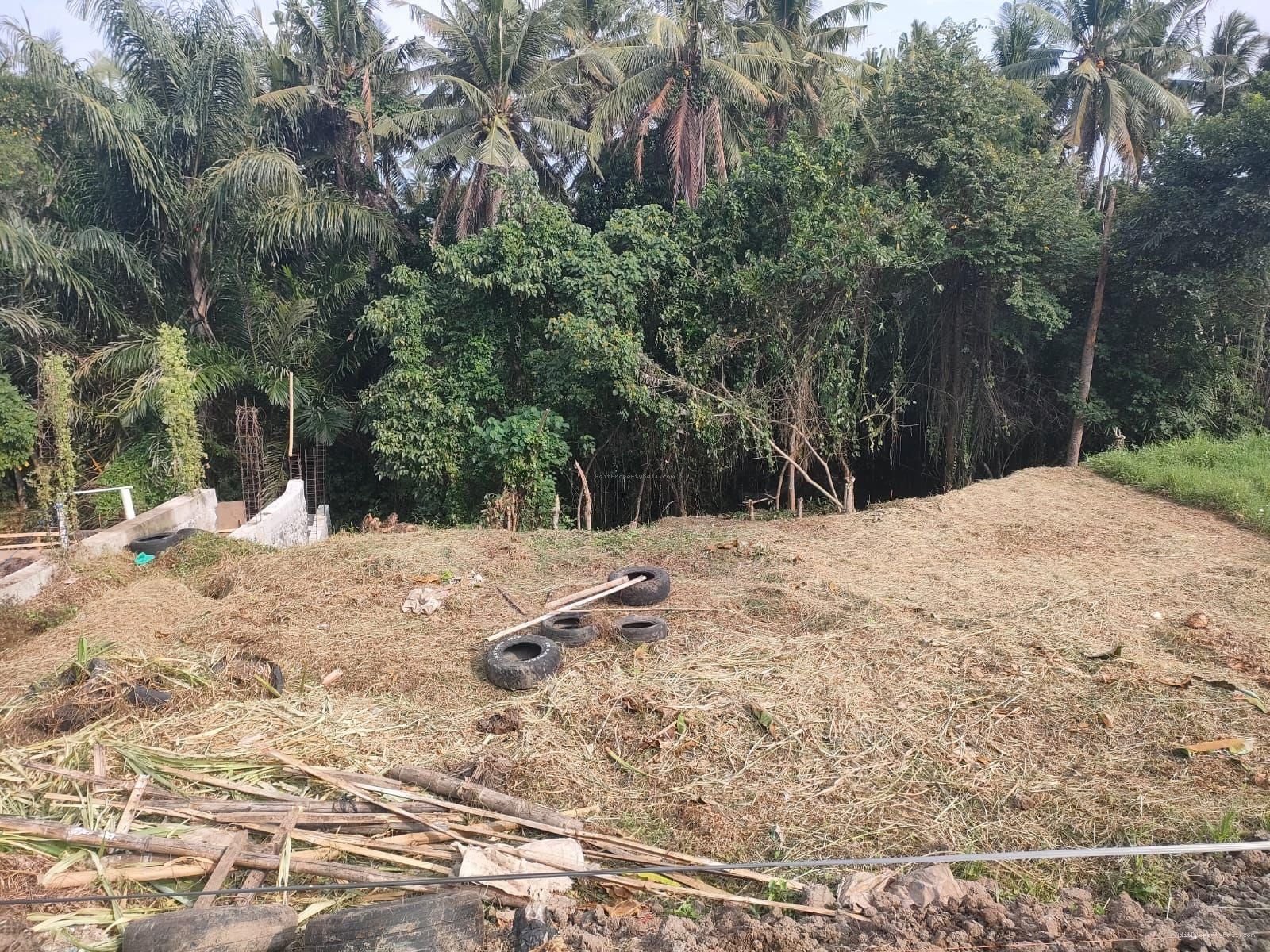 Tanah Singapadu Denpasar Bali