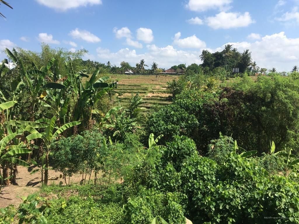 Tanah Singapadu Denpasar Bali