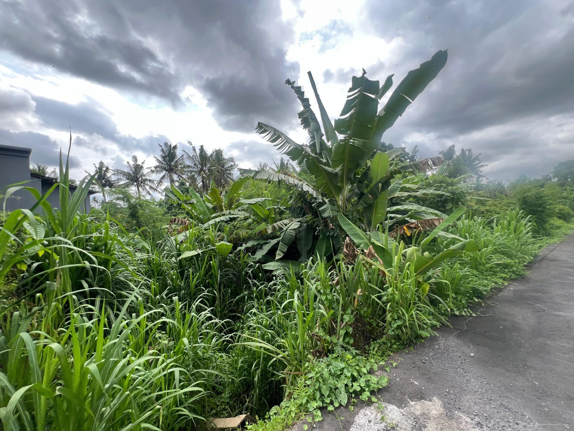 Tanah Singapadu Denpasar Bali