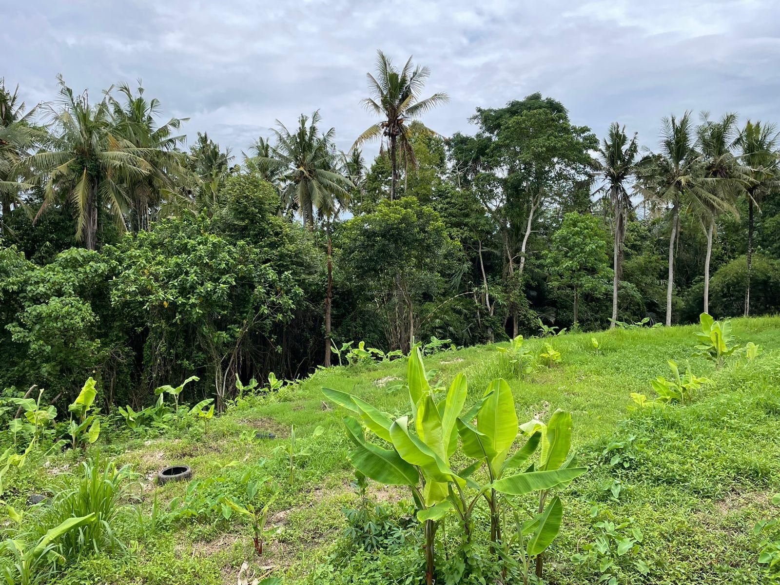 Tanah Singapadu Denpasar Bali