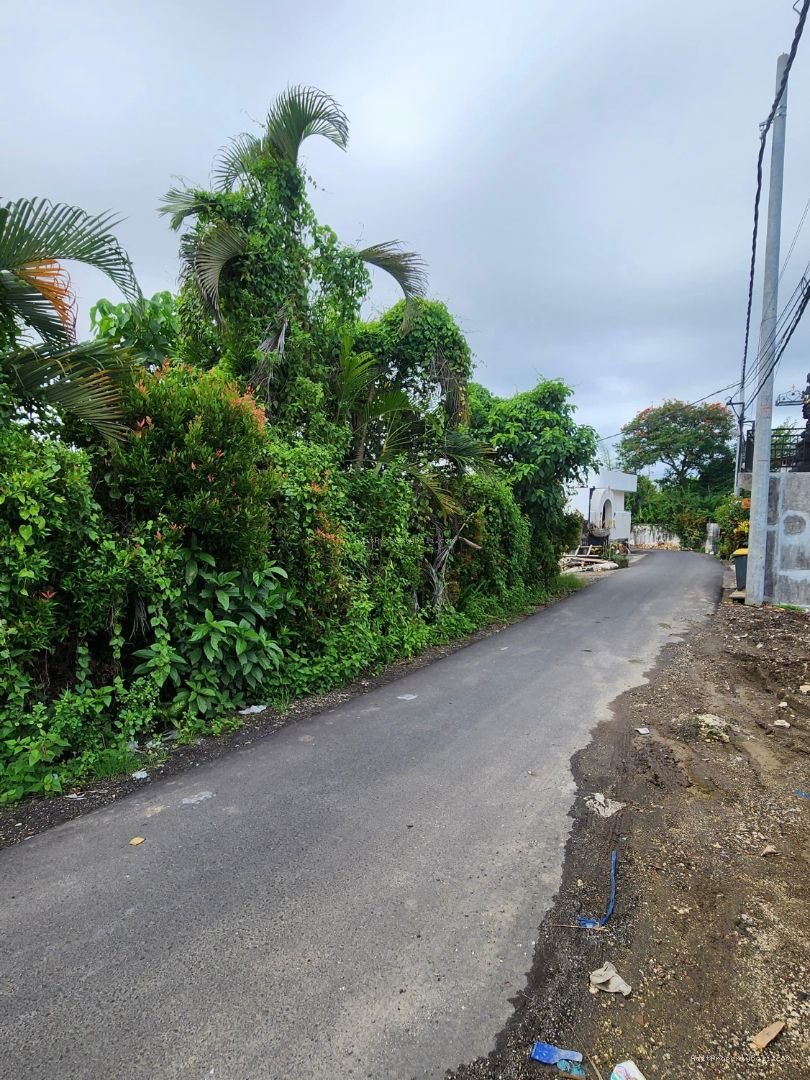 Tanah jantuk angsa pererenan badung bali