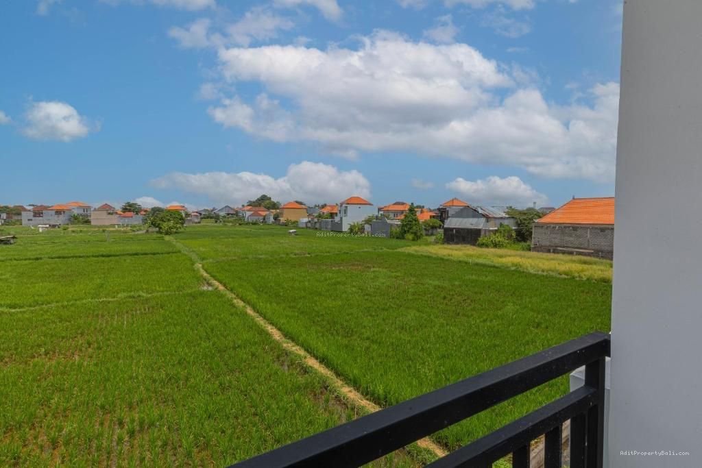 Villa View Sawah Sanur Denpasar Selatan