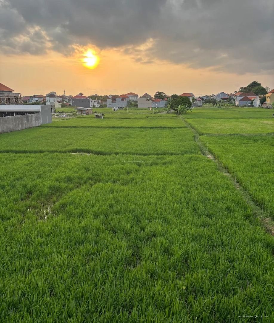 Villa View Sawah Sanur Denpasar Selatan