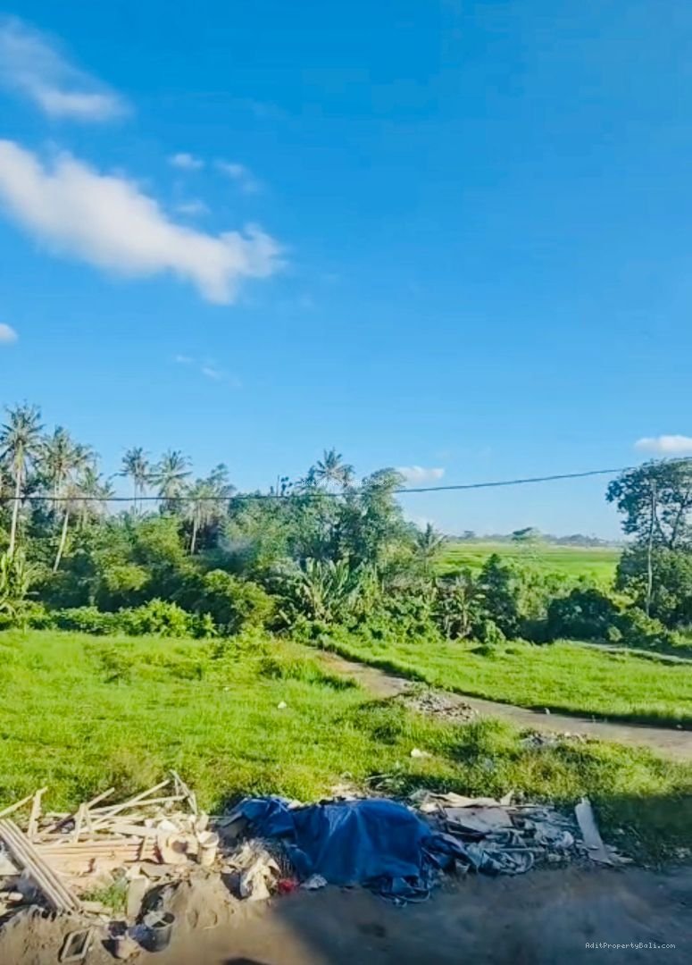 Rumah View Sawah Kediri Tabanan Bali