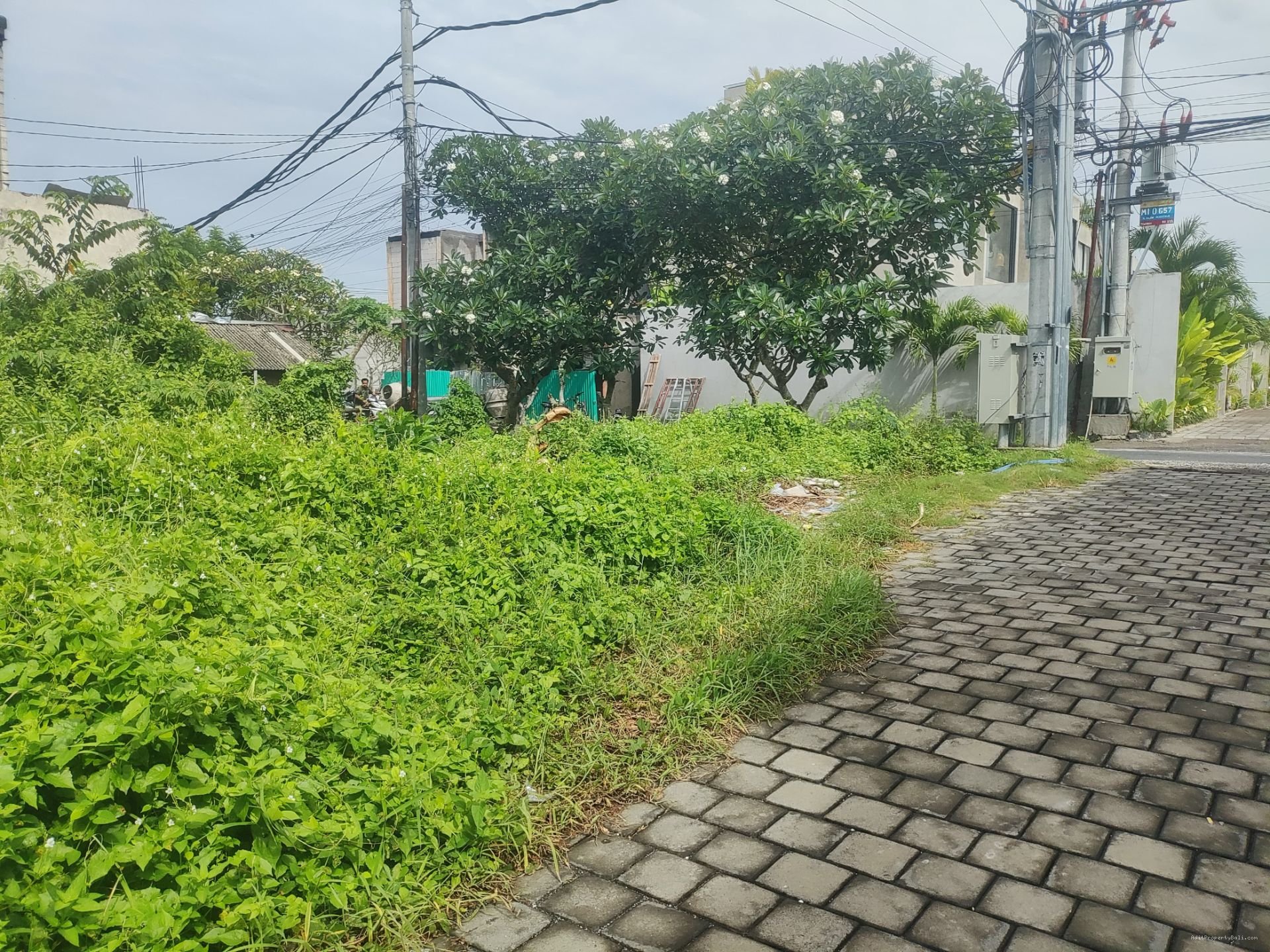 Tanah pererenan canggu bali