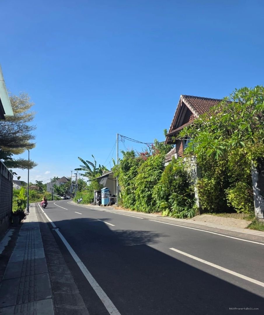 Tanah kayu tulang selatan canggu