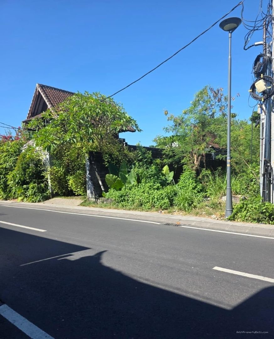 Tanah kayu tulang selatan canggu