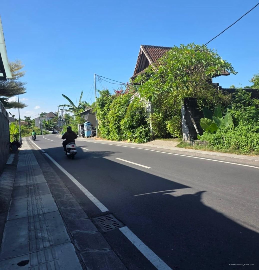 Tanah kayu tulang selatan canggu