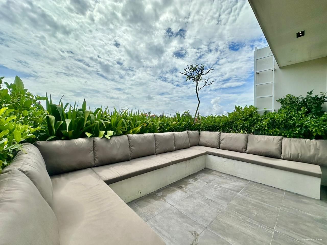 Villa view sawah berawa canggu bali