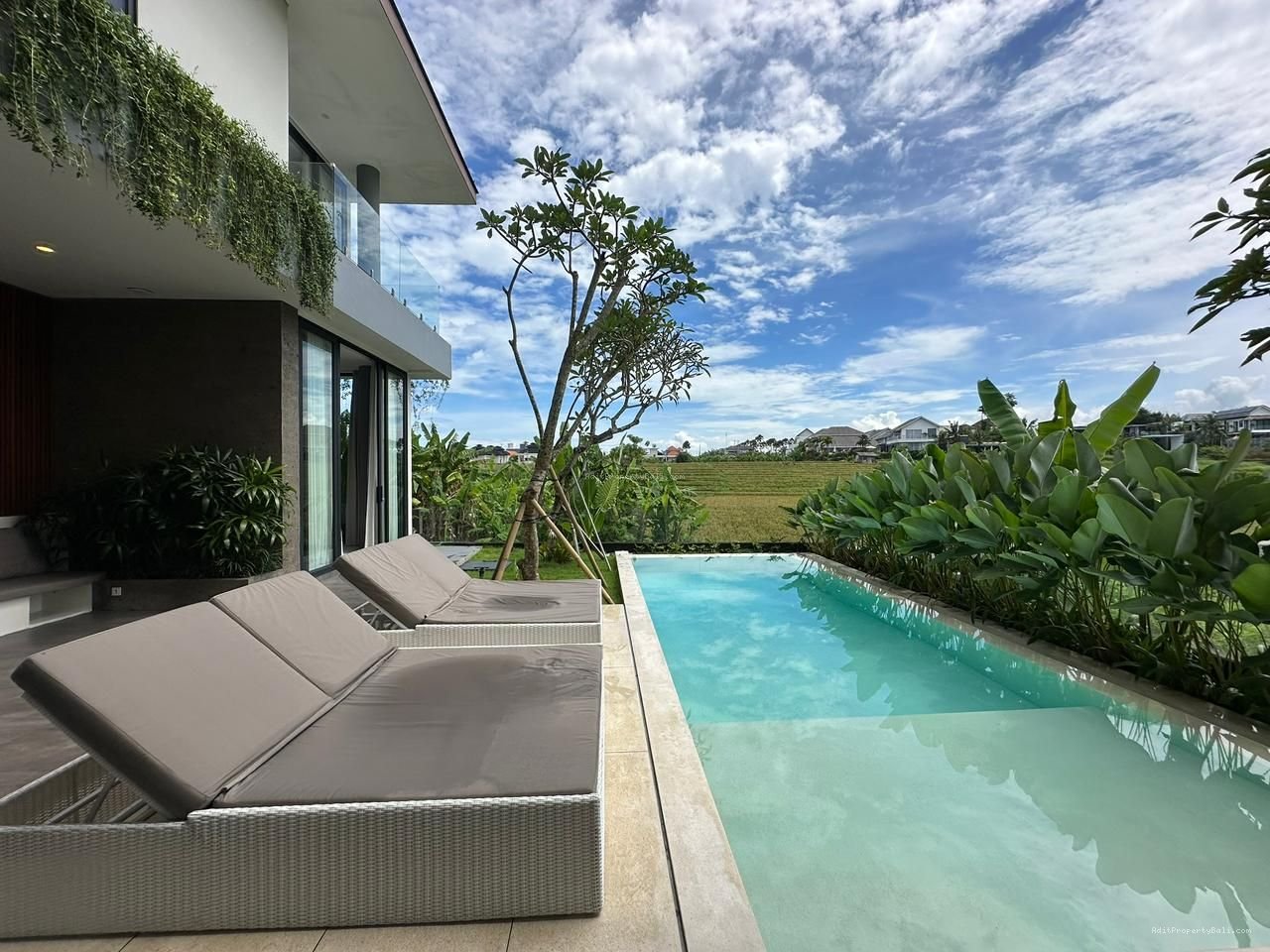 Villa view sawah berawa canggu bali