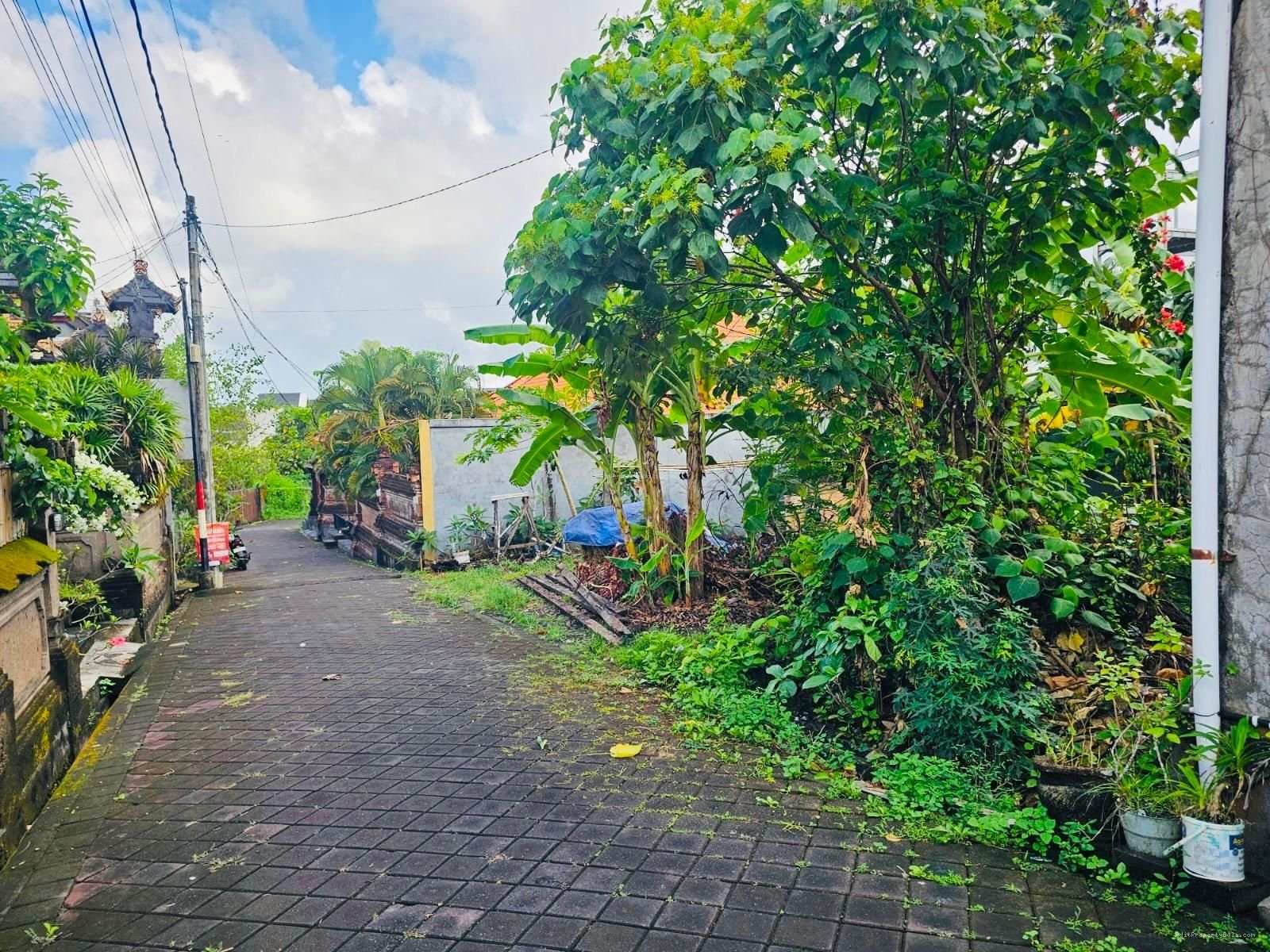 Tanah Berawa Canggu Badung Bali