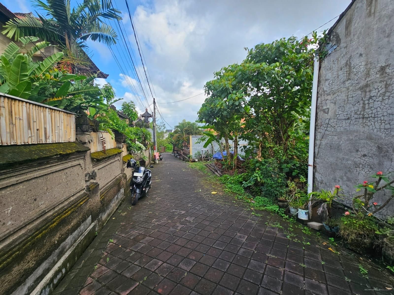 Tanah Berawa Canggu Badung Bali