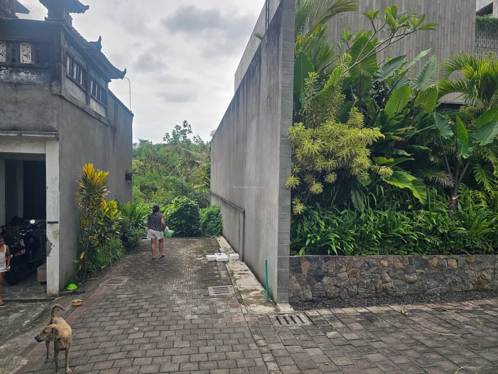 Tanah view sawah buduk mengwi