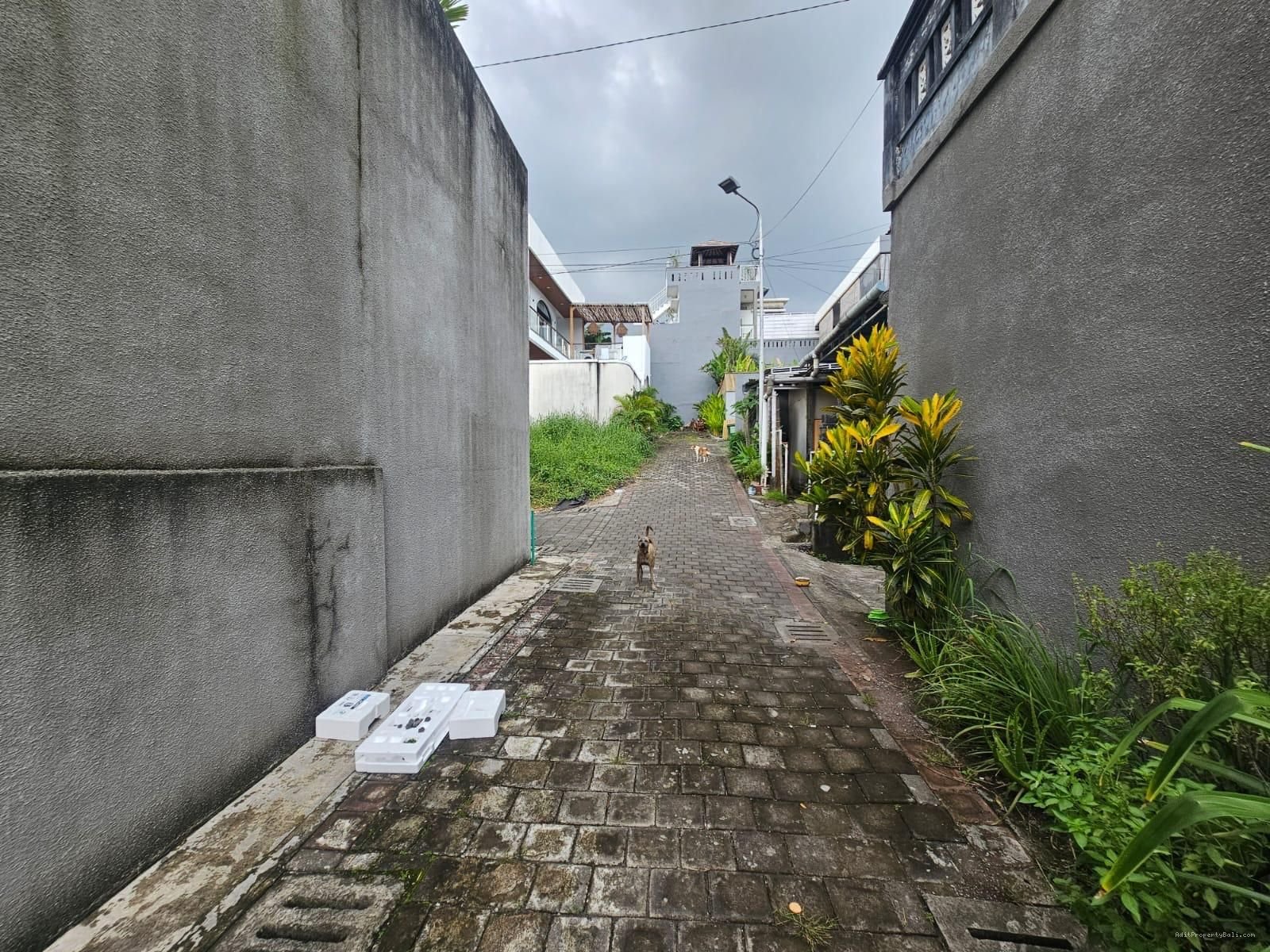 Tanah view sawah buduk mengwi
