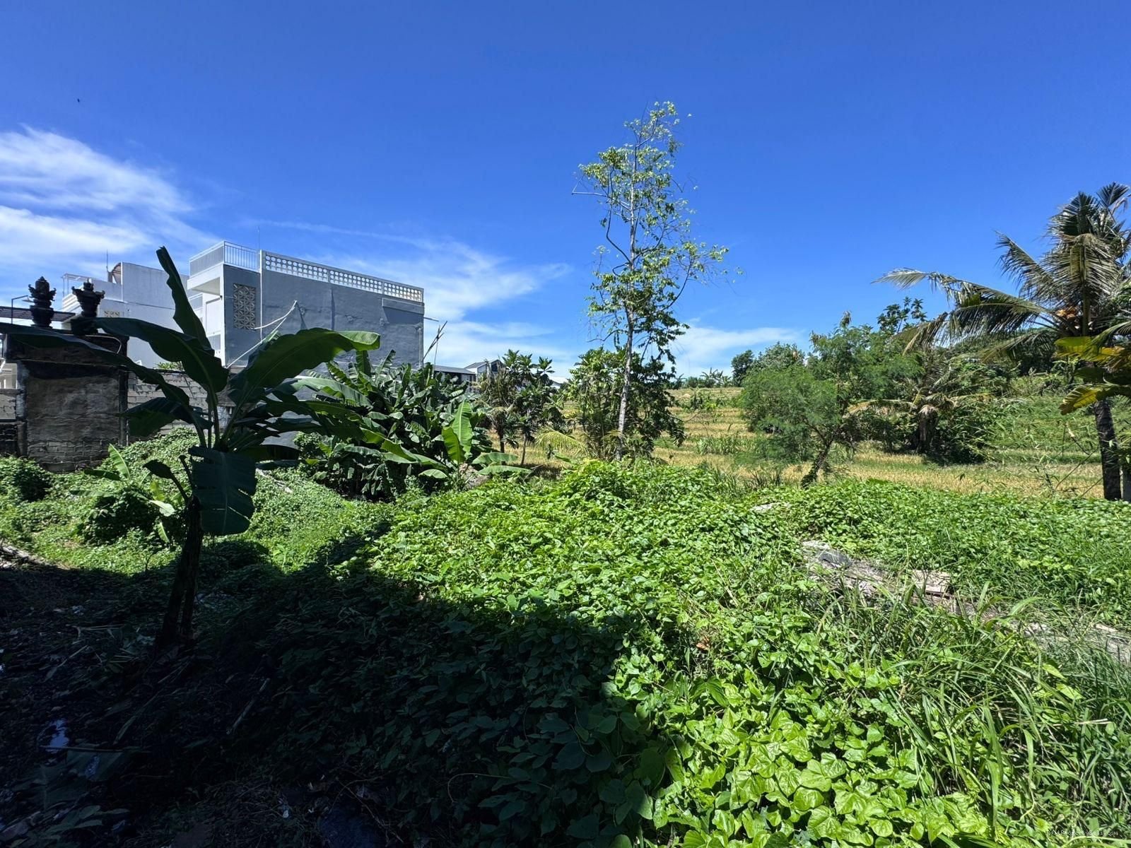 Tanah view sawah buduk mengwi