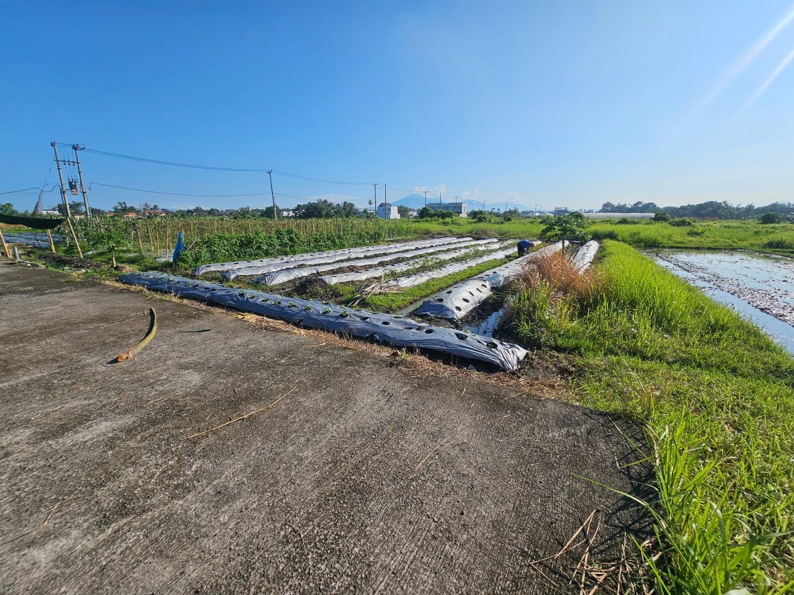 Tanah Pantai Kedungu Kediri Tabanan Bali