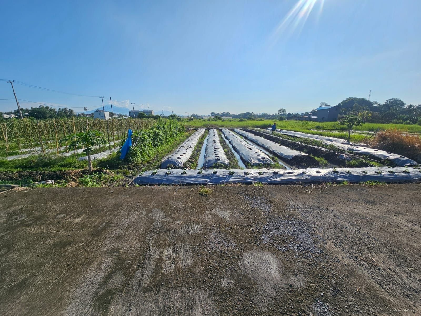 Tanah Pantai Kedungu Kediri Tabanan Bali