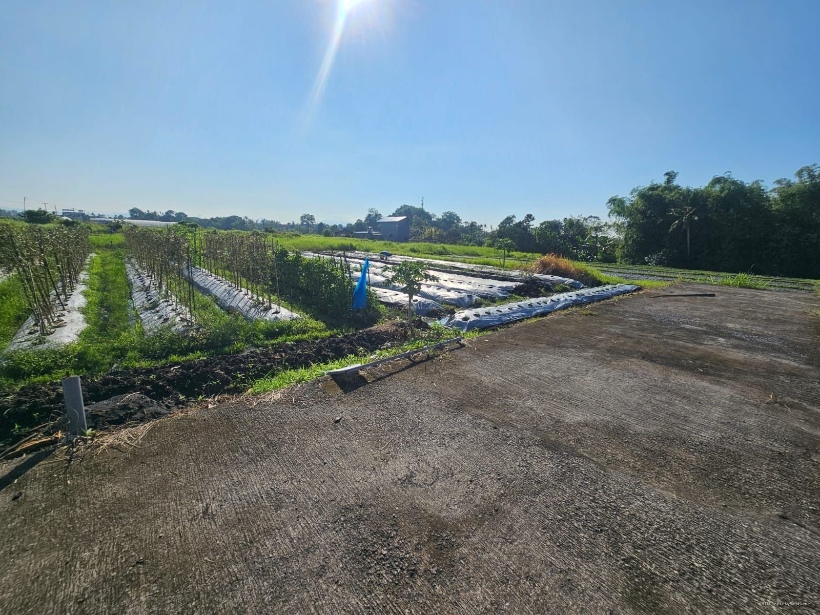 Tanah Pantai Kedungu Kediri Tabanan Bali