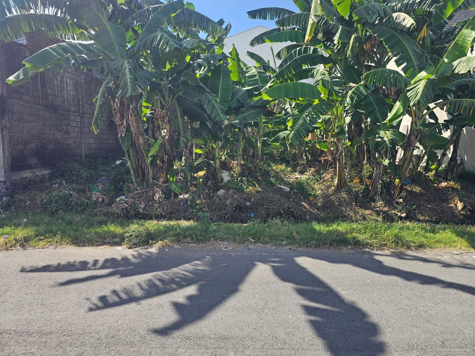 Tanah nakula legian bali