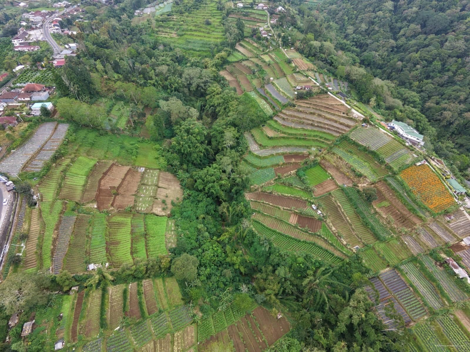 Tanah view pegunungan bedugul bali