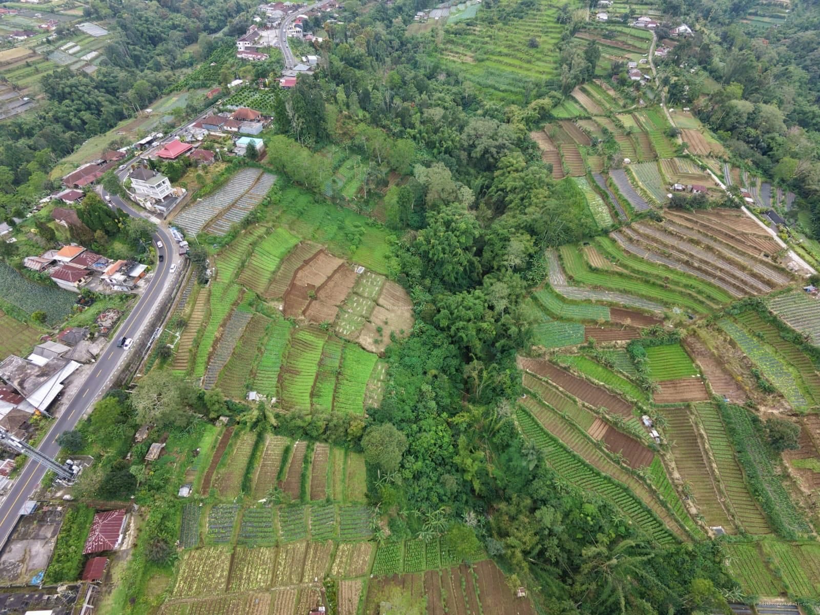 Tanah view pegunungan bedugul bali