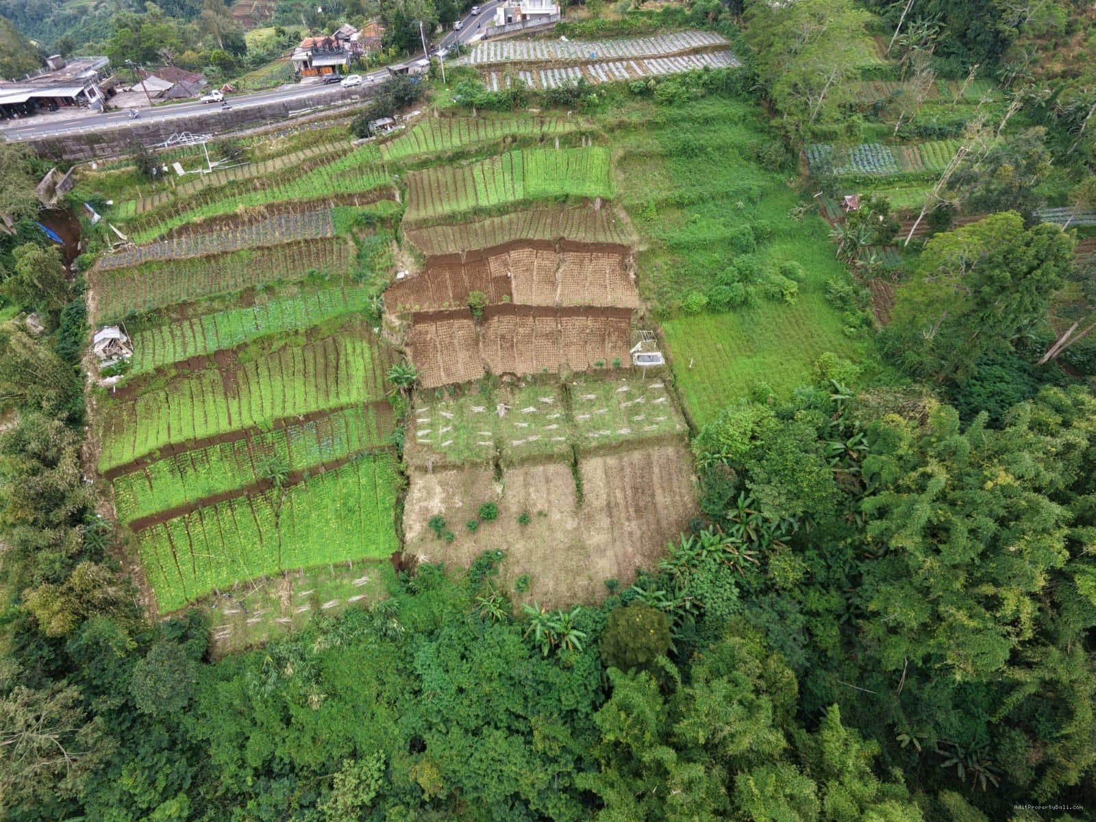 Tanah view pegunungan bedugul bali