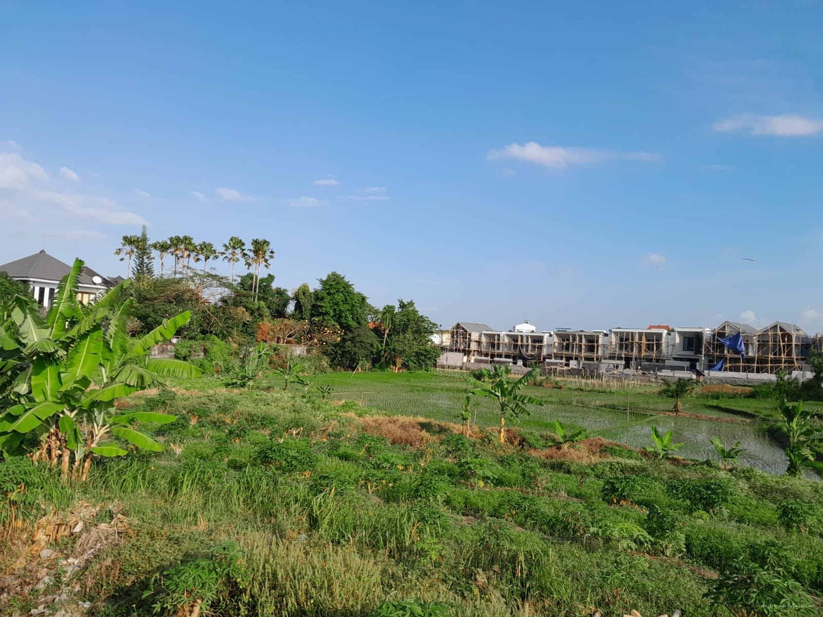Tanah gunung salak kerobokan