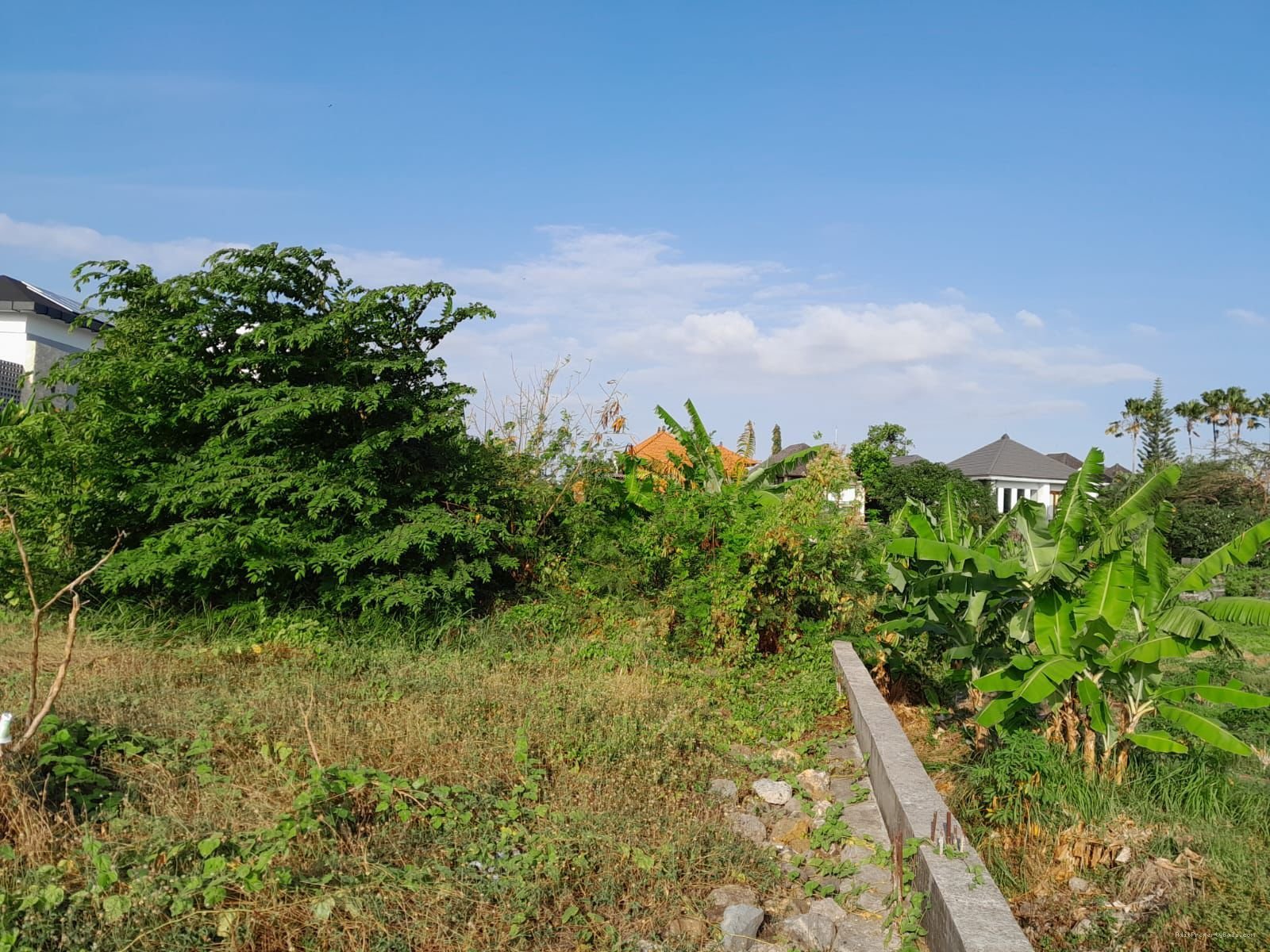 Tanah gunung salak kerobokan